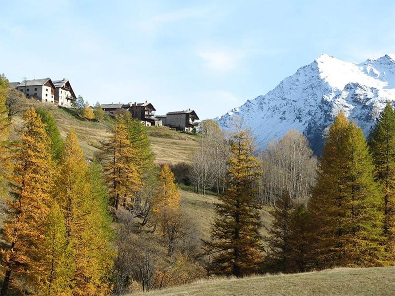 Auberge L'Estoilies Saint-Vérand Exteriér fotografie